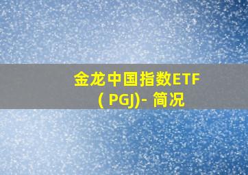 金龙中国指数ETF ( PGJ)- 简况